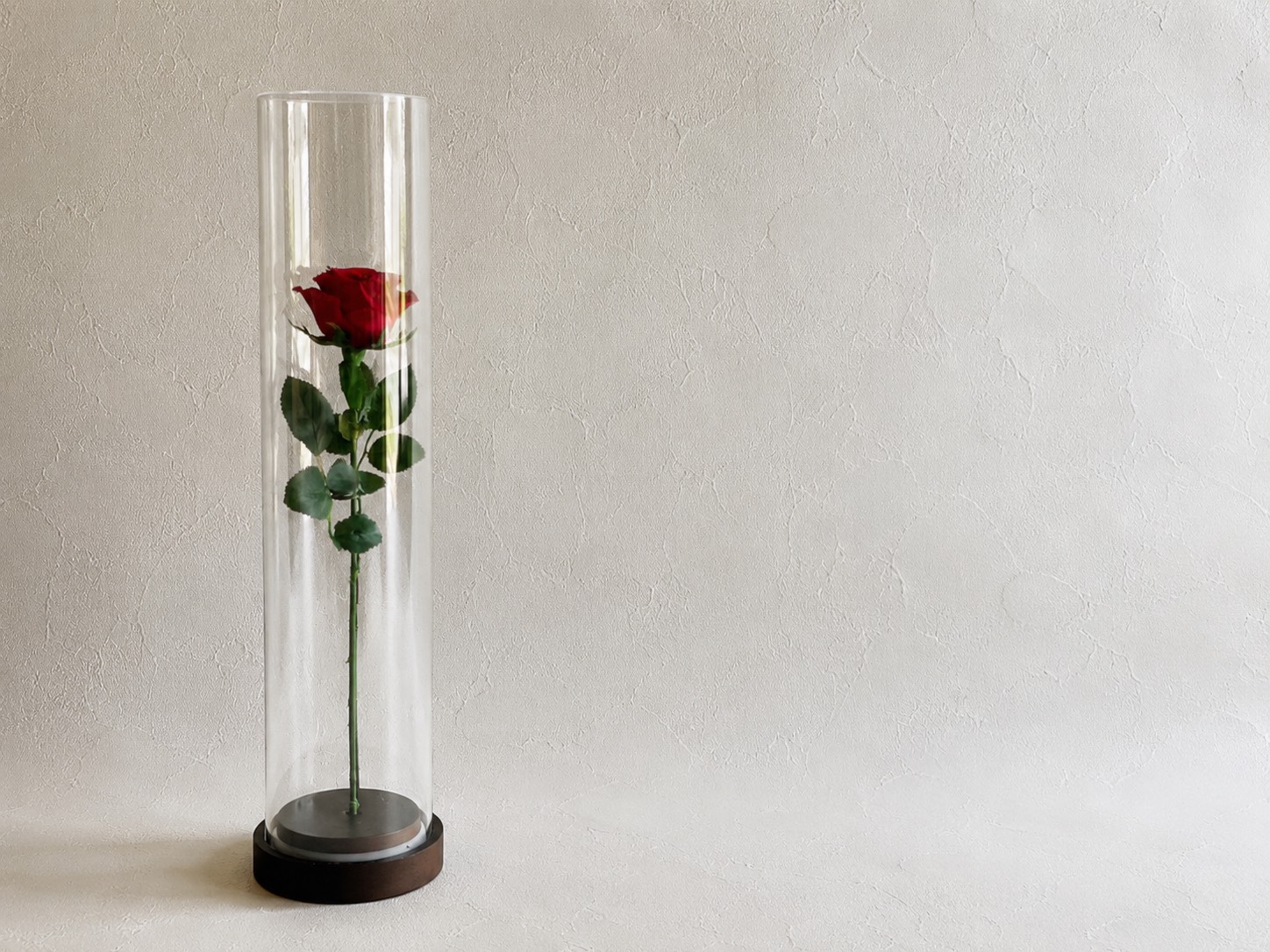 Preserved flower　OneRose