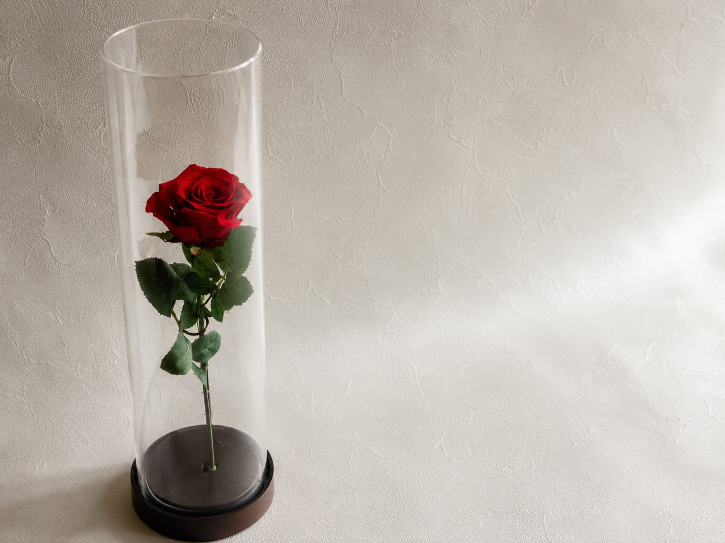 Preserved flower　OneRose 2