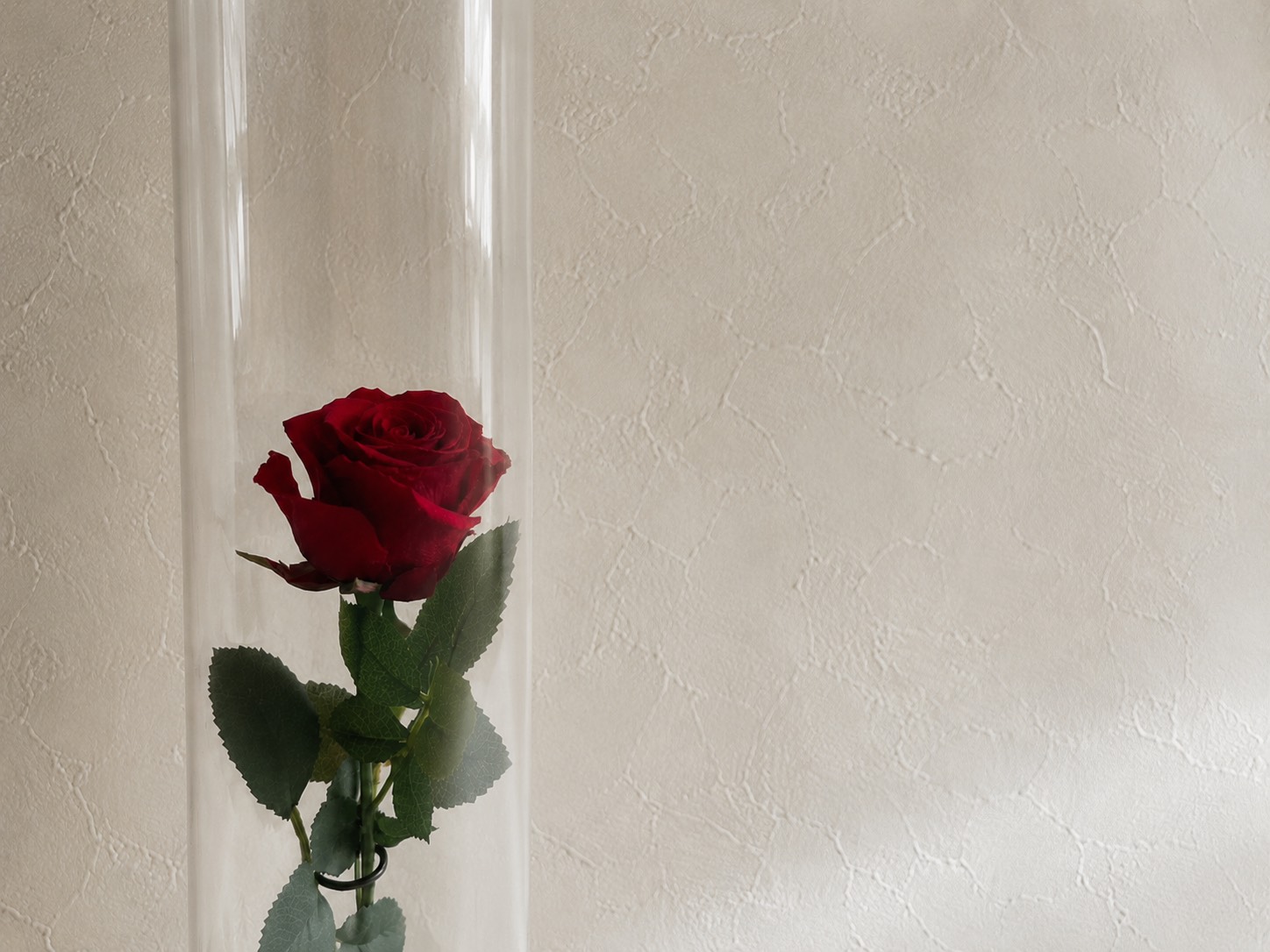 Preserved flower　OneRose 3