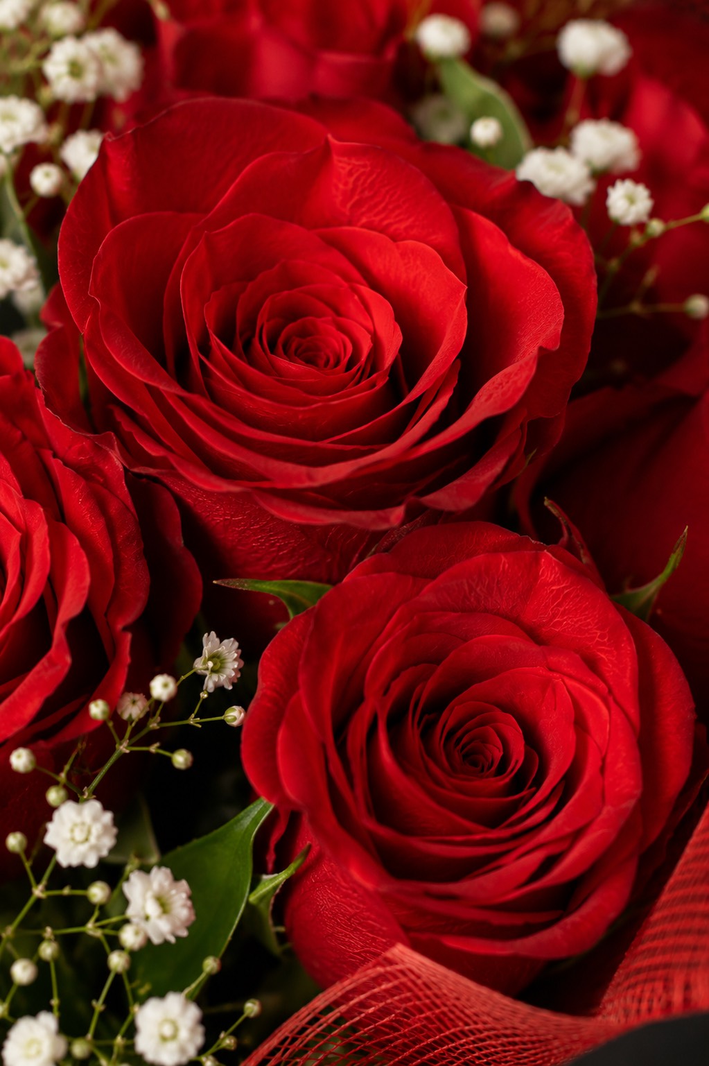 Dozen Roses Bouquet 3